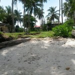 Looc property for sale